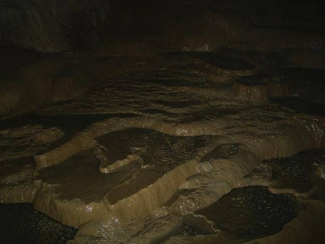 Konya'da heyecan arayanlar soluğu burada alıyor: Hassas hayvan türlerininde yuvası 14